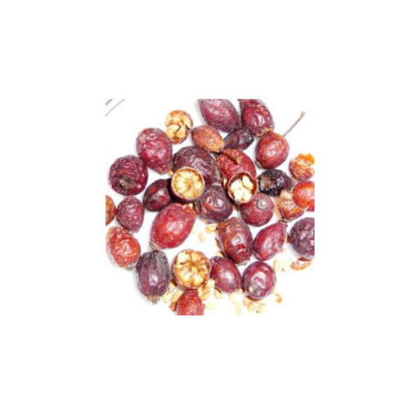 Escaramujo Frutos