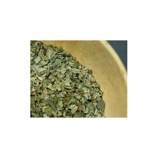 Ginkgo Biloba