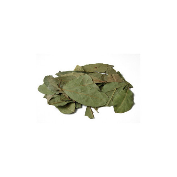 Hojas de Laurel Seleccionada