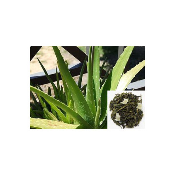 Té verde aloe vera
