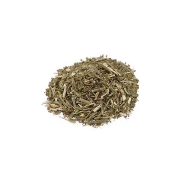 Verbena